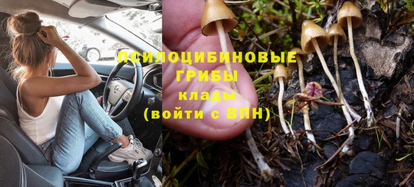 apvp Новозыбков