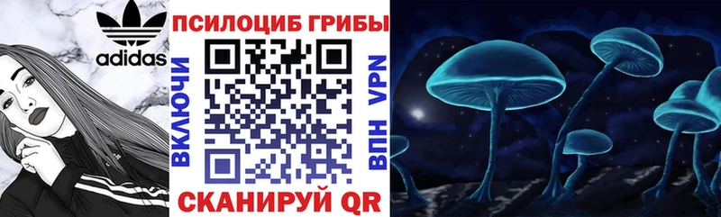 купить   Белоозёрский  Галлюциногенные грибы Magic Shrooms 